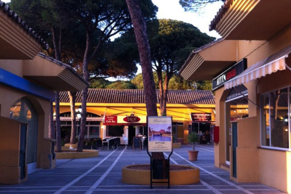 Search Local - Elviria